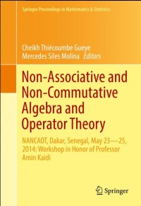 Non-Associative and Non-Commutative Algebra and Operator Theory:NANCAOT, Dakar, Senegal, May 23–25, 2014: Workshop in Honor of Professor Amin Kaidi