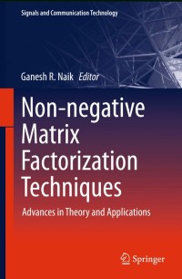 Non-negative Matrix Factorization Techniques:Advances in Theory and Applications