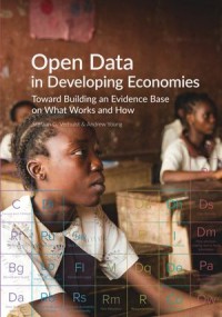 Open Data in Developing Economies; Toward Building an Evidence Base on What Works and How