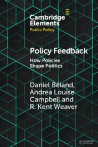 Policy Feedback: How Policies Shape Politics