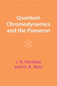 Quantum Chromodynamics and the Pomeron