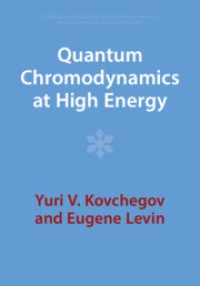 Quantum Chromodynamics at High Energy