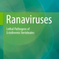 Ranaviruses : Lethal Pathogens of Ectothermic Vertebrates