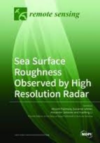 Sea Surface Roughness Observed by High Resolution Radar