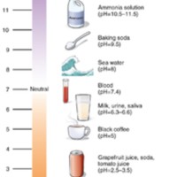 The Concept of pH