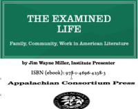 The Examined Life; Family, Community, Work in American Literature