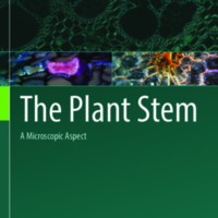 The Plant Stem : A Microscopic Aspect