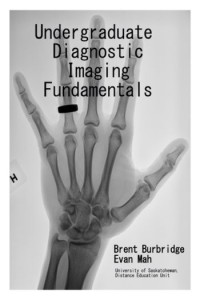 Undergraduate Diagnostic Imaging Fundamentals