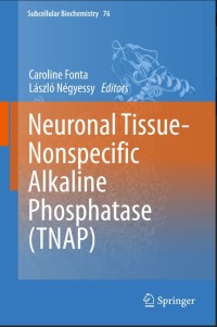 Neuronal Tissue-Nonspecific Alkaline Phosphatase (TNAP)