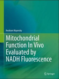 Mitochondrial Function In Vivo Evaluated by NADH Fluorescence