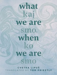 What We Are When We Are
Kaj smo, ko smo