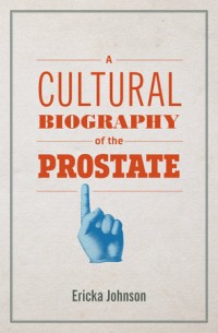 A cultural biography of the prostate