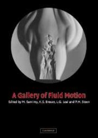 A Gallery of Fluid Motion