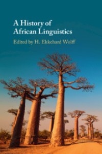 A History of African Linguistics