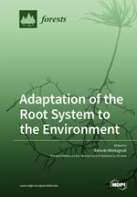 Image of Adaptation of the Root System to the Environment