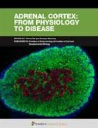 Adrenal cortex: from physiology to disease