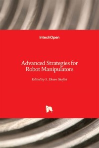 Advanced Strategies for Robot Manipulators