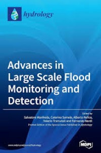 Advances in Large Scale Flood Monitoring and Detection