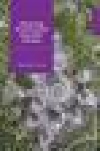 Image of Advancing Environmental Education Practice