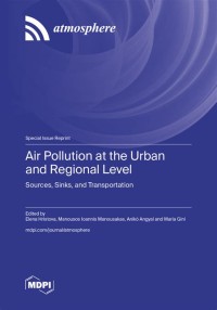 Image of Air Pollution at the Urban and Regional Level: Sources, Sinks, and Transportation