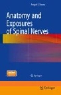 Anatomy and Exposures of Spinal Nerves