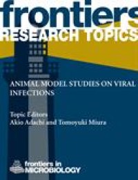 Image of Animal model studies on viral infections