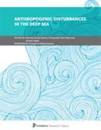 Image of Anthropogenic Disturbances in the Deep Sea