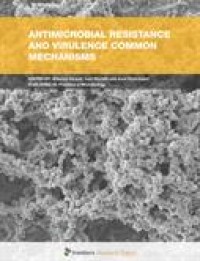Image of Antimicrobial Resistance and Virulence Common Mechanisms