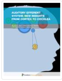 Image of Auditory Efferent System: New Insights from Cortex to Cochlea