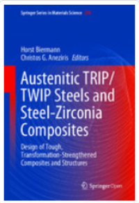 Image of Austenitic TRIP/TWIP Steels and Steel-Zirconia Composites