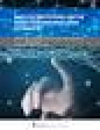 Image of Back to the Future: On the Road Towards Precision Psychiatry