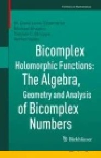 Bicomplex Holomorphic Functions