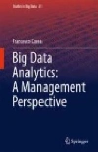 Big Data Analytics : A Management Perspective