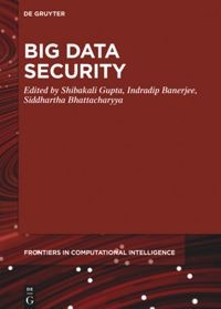 Image of Big Data Security