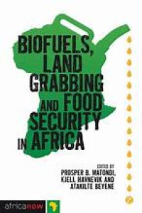 Image of Biofuels, Land Grabbing and Food Security in Africa (Africa Now)