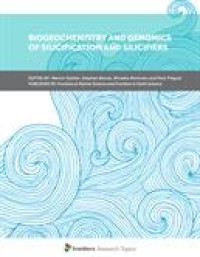 Image of Biogeochemistry and Genomics of Silicification and Silicifiers