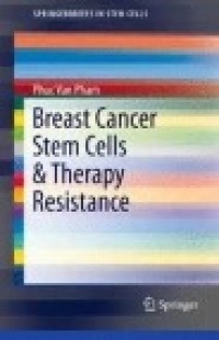 Breast Cancer Stem Cells & Therapy Resistance