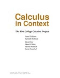 Calculus in Context