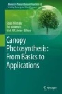 Canopy Photosynthesis: From Basics to Applications