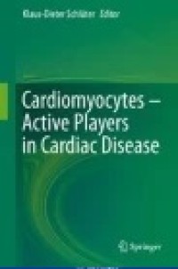 Cardiomyocytes Active Players in Cardiac Disease