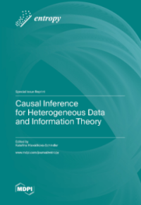 Image of Causal Inference for Heterogeneous Data and Information Theory