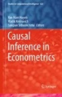 Causal Inference in Econometrics