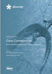 Image of Cave Communities; From the Surface Border to the Deep Darkness