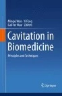 Cavitation in Biomedicine : Principles and Techniques