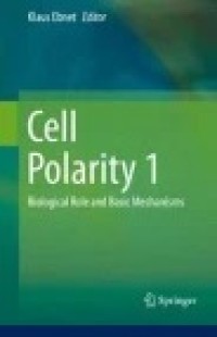 Cell Polarity 1 : Biological Role and Basic Mechanisms