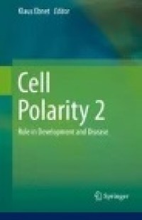 Cell Polarity 2 Role in Development and Disease