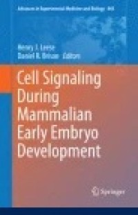 Cell Signaling During Mammalian Early Embryo Development