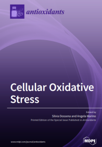 Image of Cellular Oxidative Stress