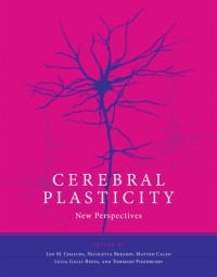 Cerebral plasticity: New perspectives