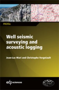 Image of Chapitre 2 • Well seismic surveying